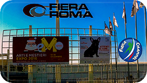 Arti e Mestieri Expo-2016