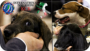 International Dog Show_KCR_2021