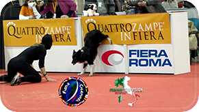 quattrozampe in fiera 2022