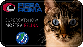 mostra felina internazionale_2016