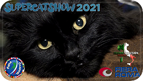 mostra felina internazionale_2021